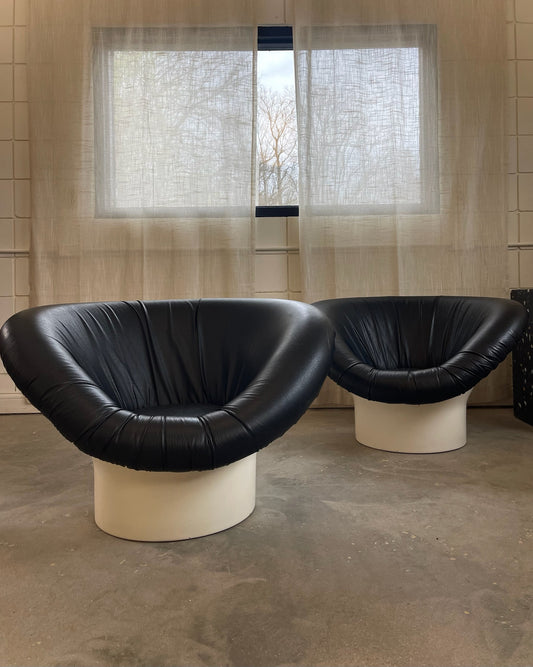 krokus chairs